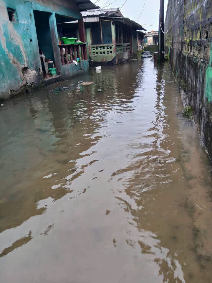 Flooding conditions documented in a study community.